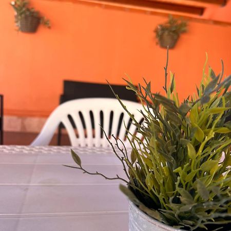 Casa Vacanze Filippa 巴莱斯特拉泰 外观 照片