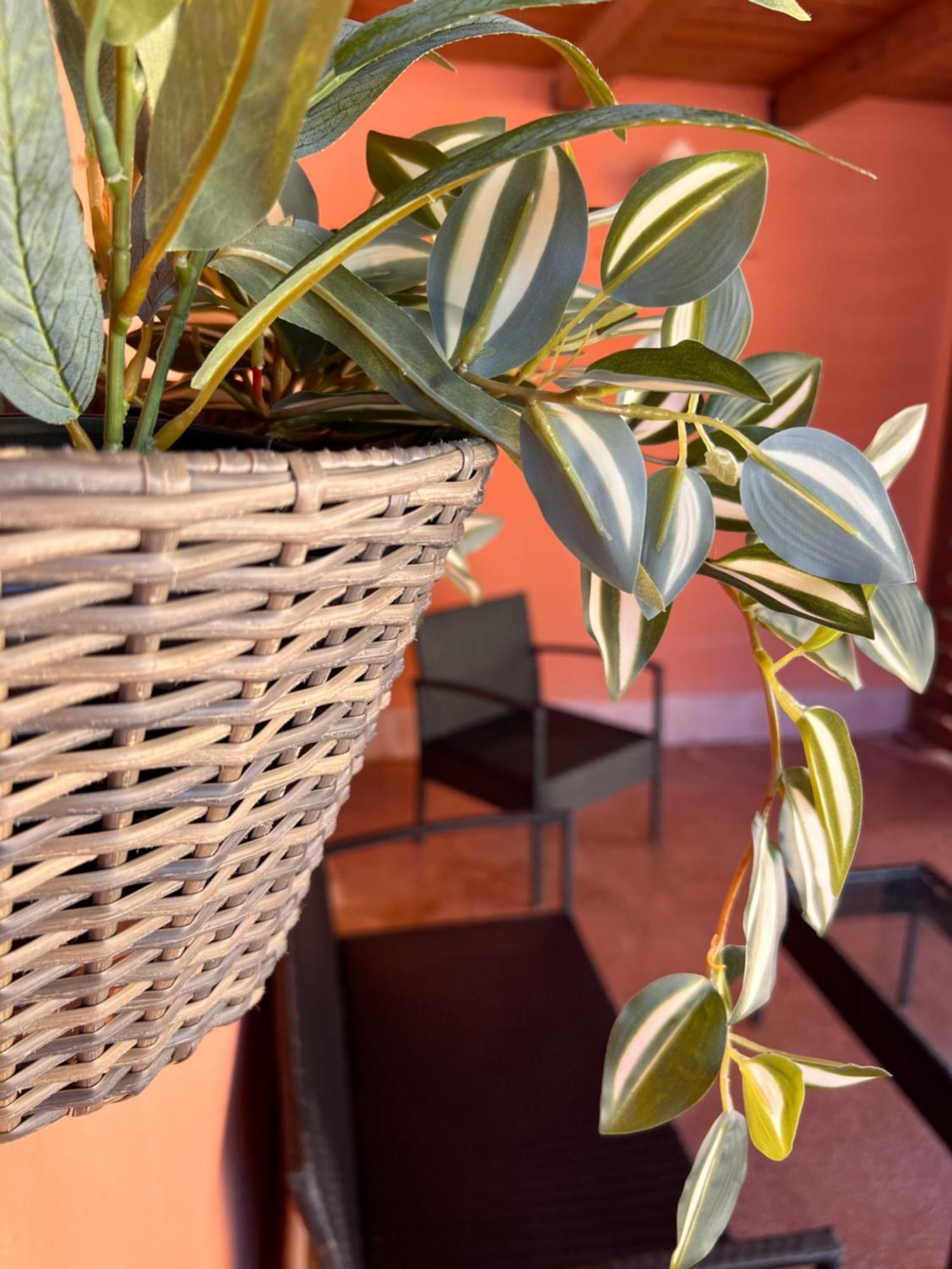 Casa Vacanze Filippa 巴莱斯特拉泰 外观 照片